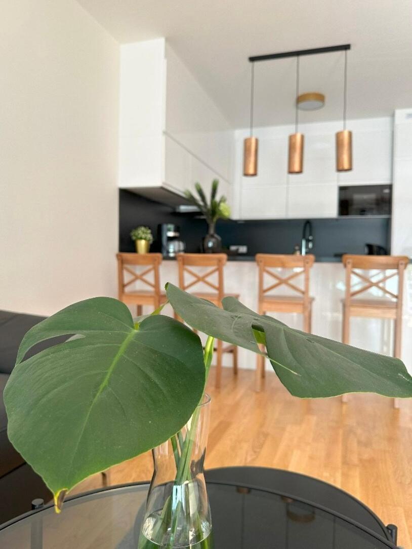 With Garage & Terrace Apartment